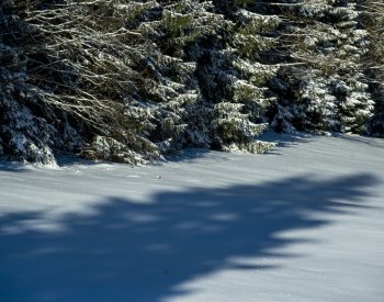 Dnes odpoledne nastane zimní slunovrat, dny se začnou prodlužovat