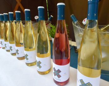 Vláda projedná novelu zákona o daňovém zvýhodnění vína jako daru