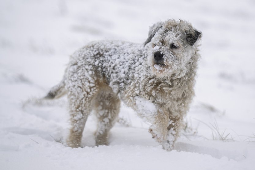 Noční teploty klesnou k minus 16 stupňům, mrznout má i přes den
