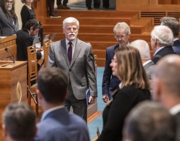 Senát chystá slyšení k obranyschopnosti a bezpečnosti, pozvat má Pavla a Babiše