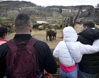 Komise a rada města by dnes měly vybrat nového ředitele pražské zoo