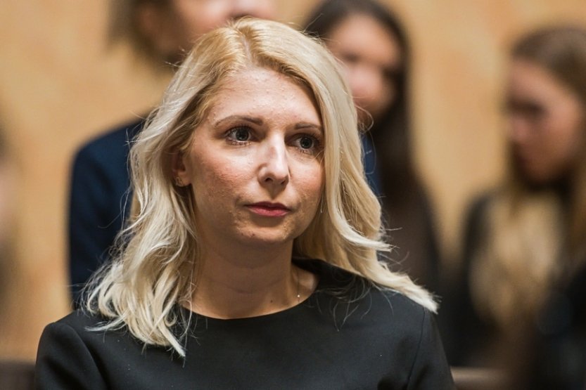 SPD chystá akce proti sjezdu sudetských Němců v Brně. I pochod v době konání