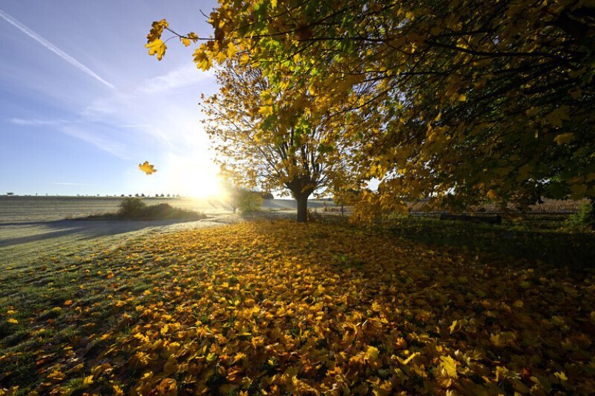 V Česku je mimořádně nízký tlak vzduchu