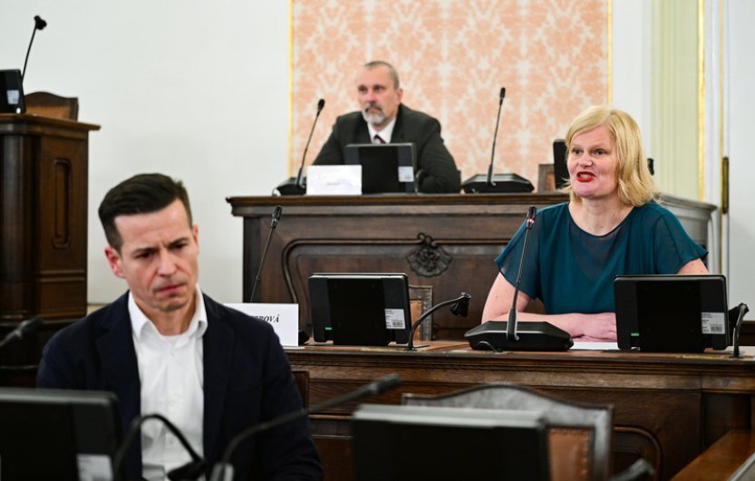 Trojice kandidátů na dětského ombudsmana se představila na slyšení ve Sněmovně