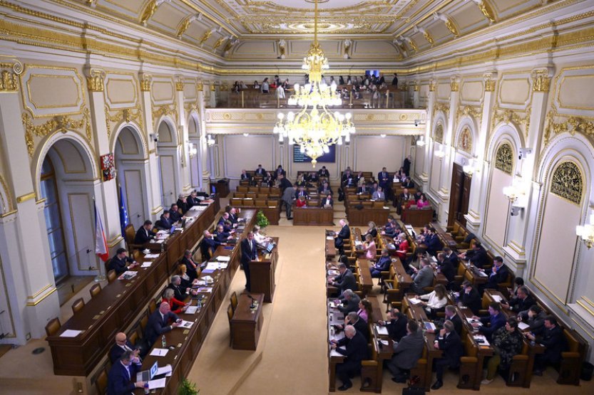 Poslance dnes čeká volba dětského ombudsmana