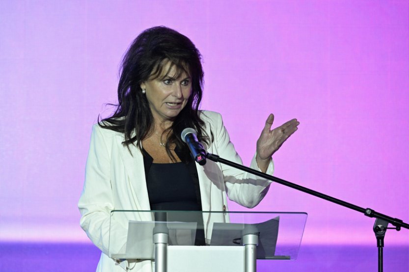 Vesecká: V Česku chybí detenční zařízení pro mladistvé pachatele