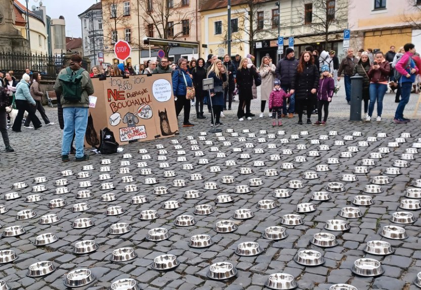 Na demonstraci za ukončení provozu útulku Bouchalka přišlo zhruba 1000 lidí