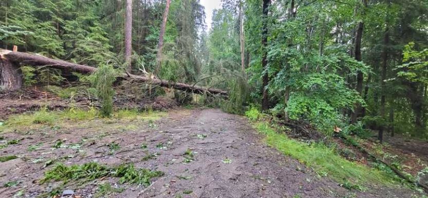 Smršť na jihu Slovenska poničila koupaliště Podhájska, možná to bylo tornádo