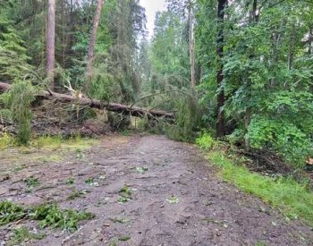 Smršť na jihu Slovenska poničila koupaliště Podhájska, možná to bylo tornádo
