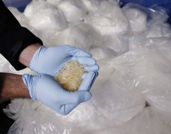 Žalobkyně poslala k soudu skupinu, která údajně vyrobila 165 kg syntetických drog