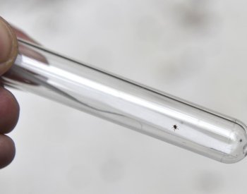 Evidovaných případů boreliózy meziročně přibylo, vliv má i změna hlášení