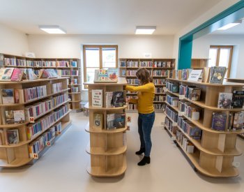 Vláda projedná změny pro knihovny a pro dovozce amalgámu