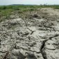 Březen a duben byly v Česku nejsušší za desítky let