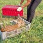 Dobrovolníci s drony v okolí Brna ročně zachrání desítky srnčat před sekačkami