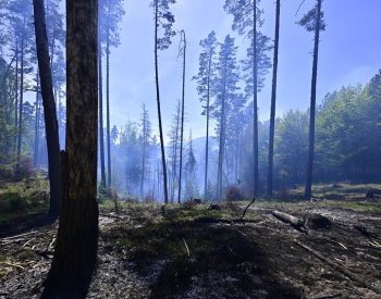 Škody po požáru v Českém Švýcarsku podle správy parku nepřesáhnou 20 mil. Kč
