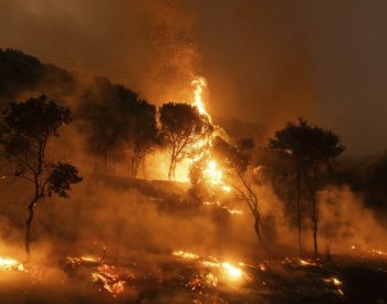 Požáry v Řecku hoří dvanáctý den, v parku Dadia shořelo území větší než New York