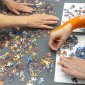 Na českém šampionátu ve skládání puzzle na čas zápolilo v Ostravě okolo 330 lidí