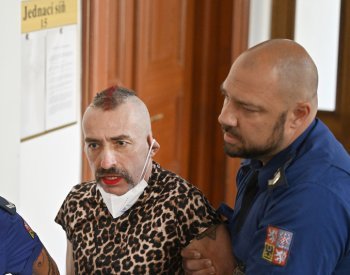 Extremistka Liebichová bude předána do Německa, rozhodl soud