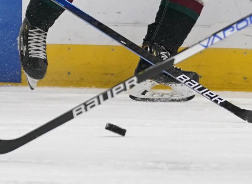 Ve čtvrtek začne za účasti Třince, Pardubic a Vítkovic hokejová Liga mistrů