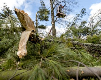 Vítr poničil Lesům ČR 200.000 m3 dřeva, na dvou místech žádají o zákaz vstupu