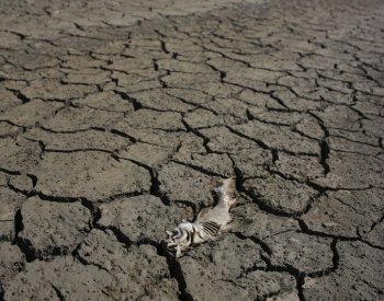 Svět prohrává boj s časem při plnění klimatických cílů, říká předseda COP28