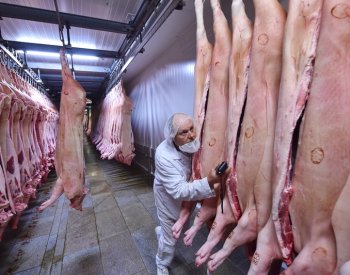 Kostelecké uzeniny měly loni ztrátu 154 milionů