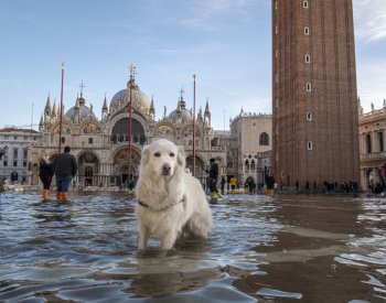 Benátky se chystají zavést vstupné pro návštěvníky