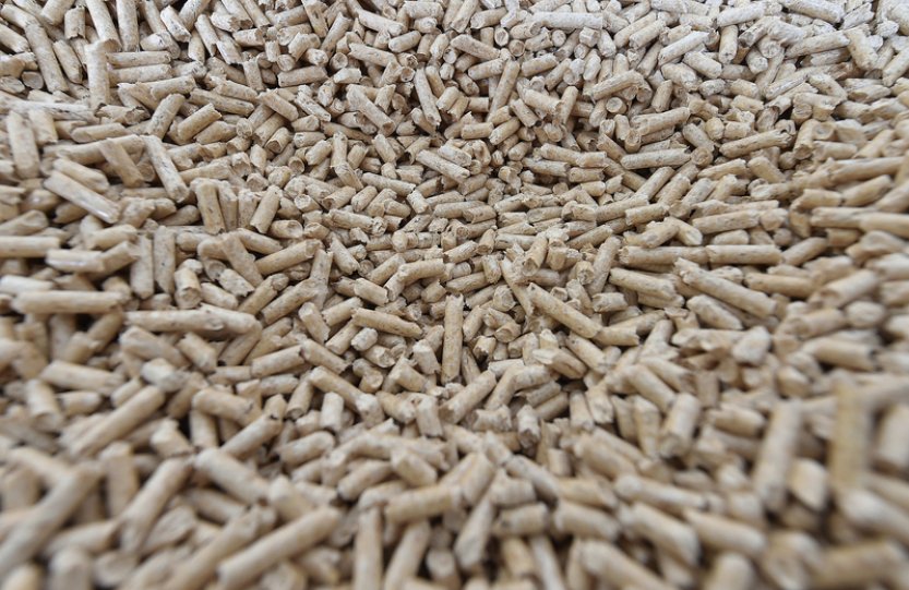 Asociace: Zvýšení DPH na dřevní palivo prodraží vytápění domů o tisíce Kč