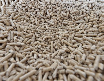 Asociace: Zvýšení DPH na dřevní palivo prodraží vytápění domů o tisíce Kč