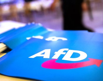 Bavorská tajná služba může sledovat celou bavorskou pobočku AfD