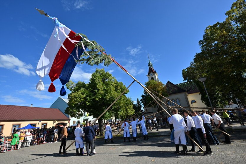 Stavěním více než 40 metrů vysoké máje začínají v Lanžhotě tradiční hody