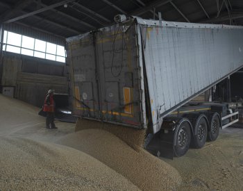 Kyjev podal kvůli obilí stížnost u WTO na Slovensko, Polsko a Maďarsko