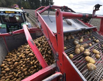 Pokles cen v zemědělství by měl podle analytiků zlevnit potraviny