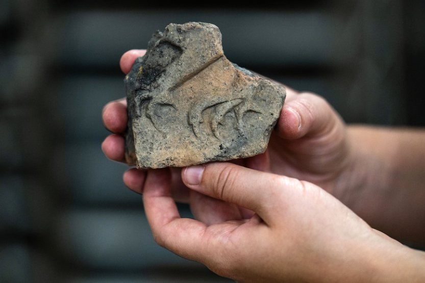 Hradečtí archeologové objevili další důkazy o přemyslovském hradišti