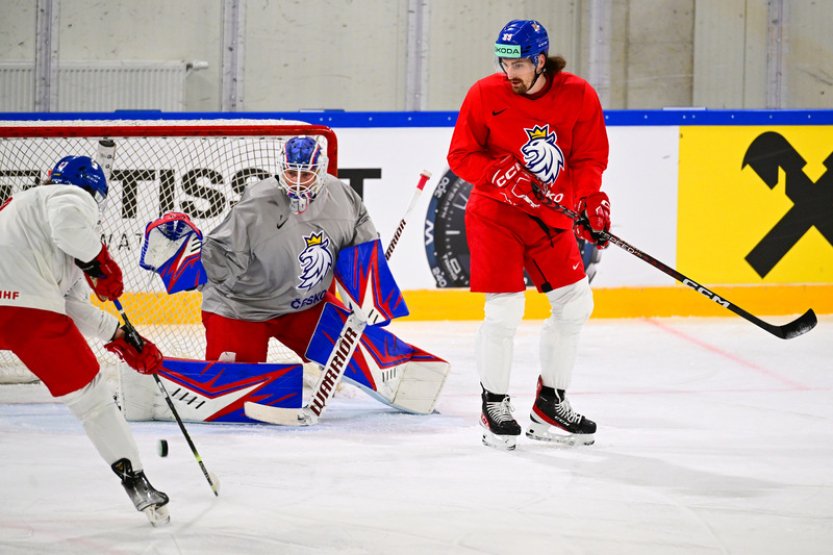 Na soupisce hokejistů je 23 hráčů, mimo zůstali Kaut a Voženílek