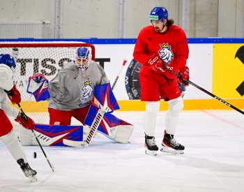 Na soupisce hokejistů je 23 hráčů, mimo zůstali Kaut a Voženílek