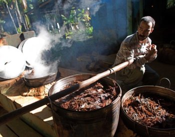 BBC: Firmy doufají, že psychedelické drogy najdou cestu k legálnímu využití