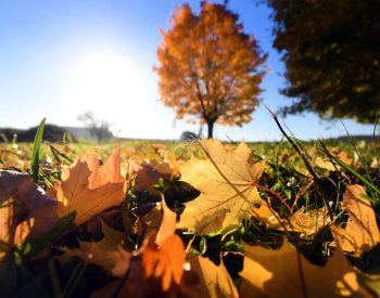 Dnes v 8:50 nastane podzimní rovnodennost a začne astronomický podzim