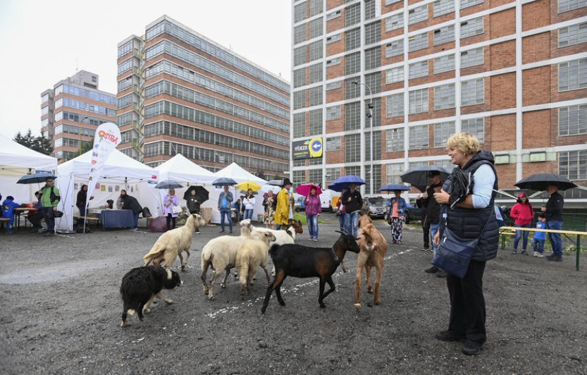 Den Zlínského kraje nabídl ve Zlíně regionální produkty i řemeslné výrobky