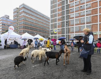 Den Zlínského kraje nabídl ve Zlíně regionální produkty i řemeslné výrobky
