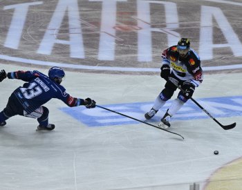 Hokejisté Sparty budou na ledě Kladna hájit extraligovou neporazitelnost