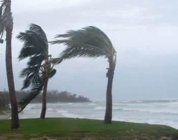 BBC: Smrtka a hurikán Katrina aneb proč personifikujeme nemoci či nebezpečí