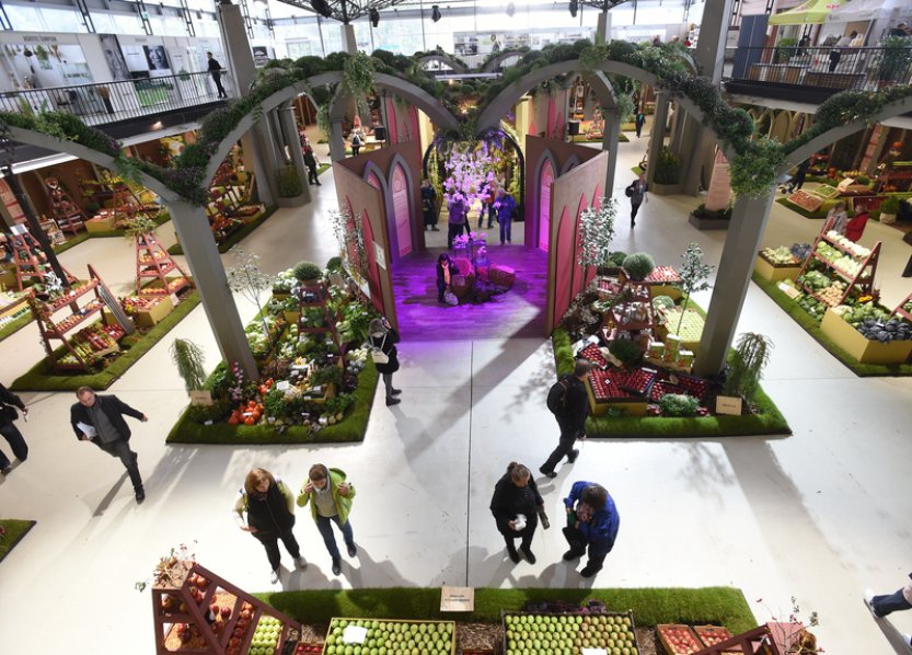 Hlavní expozice podzimní Flory Olomouc bude mít tvar Československa