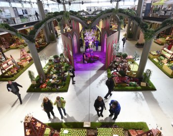 Hlavní expozice podzimní Flory Olomouc bude mít tvar Československa