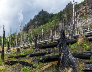 Turisté asi dál nebudou moci na některá místa v Č. Švýcarsku zasažená požárem