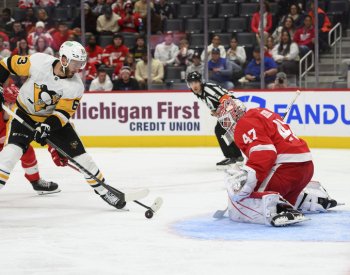 Zohorna a Vrána skórovali v přípravě na NHL