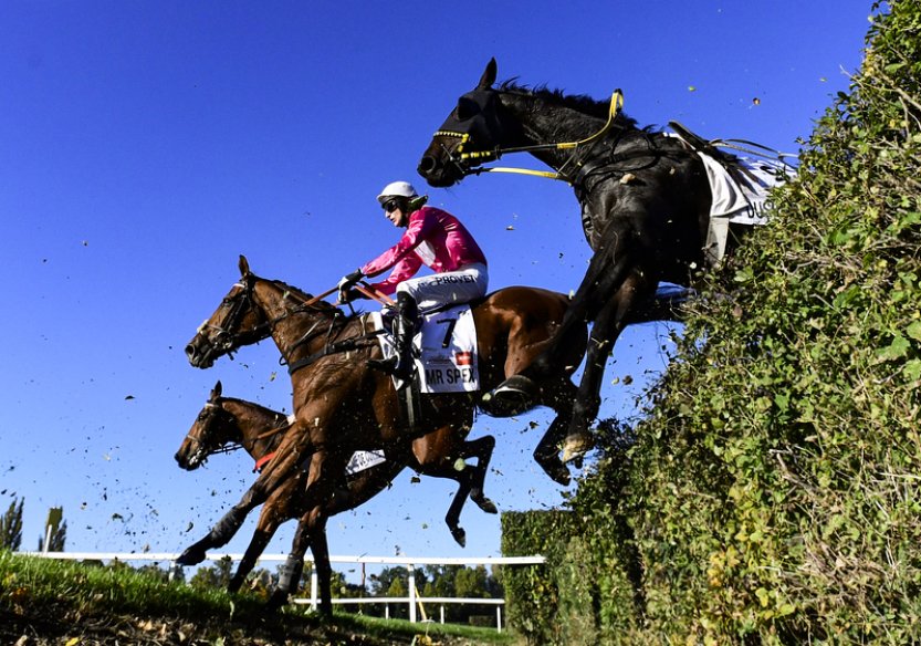 Velkou pardubickou by mělo běžet 18 koní, žokejové Bartoš a Matuský budou chybět