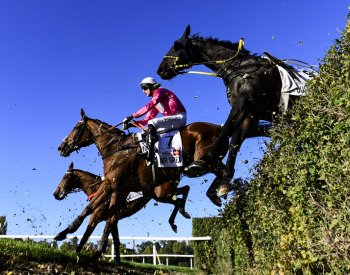 Velkou pardubickou by mělo běžet 18 koní, žokejové Bartoš a Matuský budou chybět