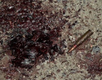 V Izraeli bylo zastřeleno pět členů arabské rodiny; kriminalita v zemi sílí