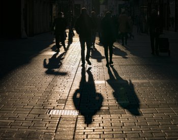 Chůze po dvou mohla podle vědců vzniknout při hledání potravy v korunách stromů